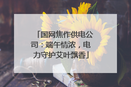 国网焦作供电公司：端午情浓，电力守护艾叶飘香
